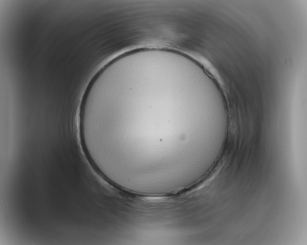 X0000088861343200707061044