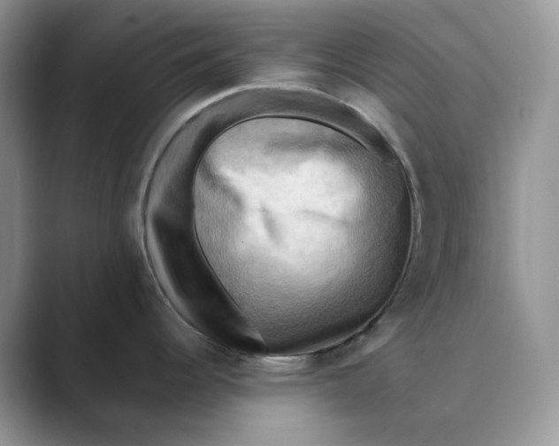 X0000088861344200707061044