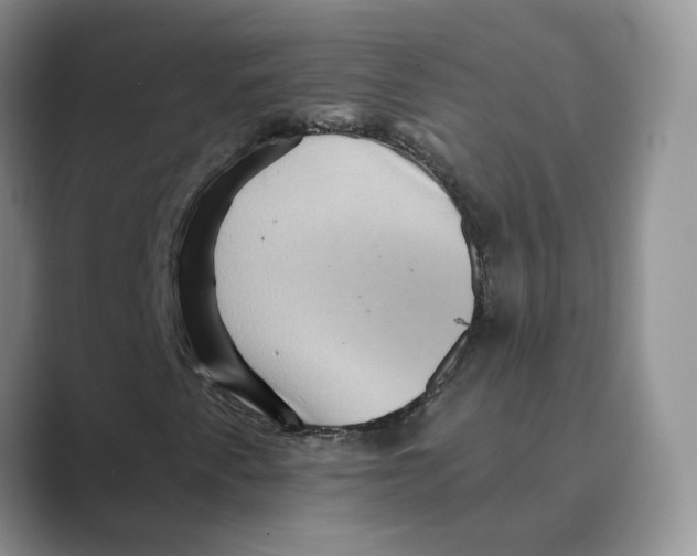 X0000088861345200707061043