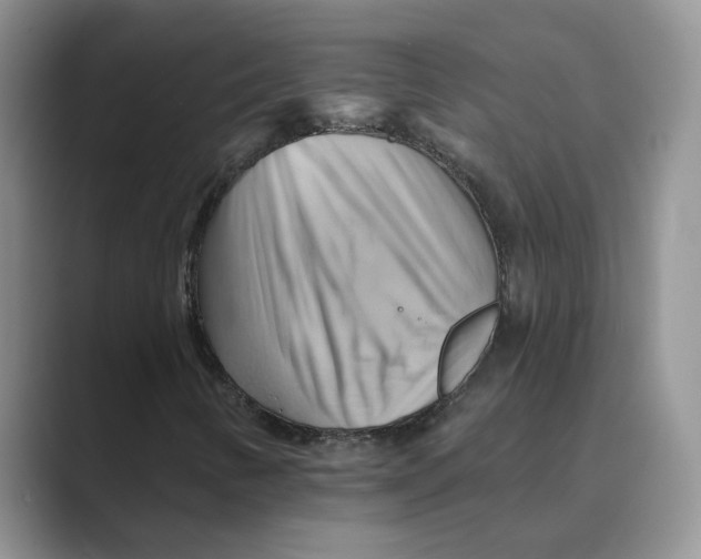 X0000088861346200707061043