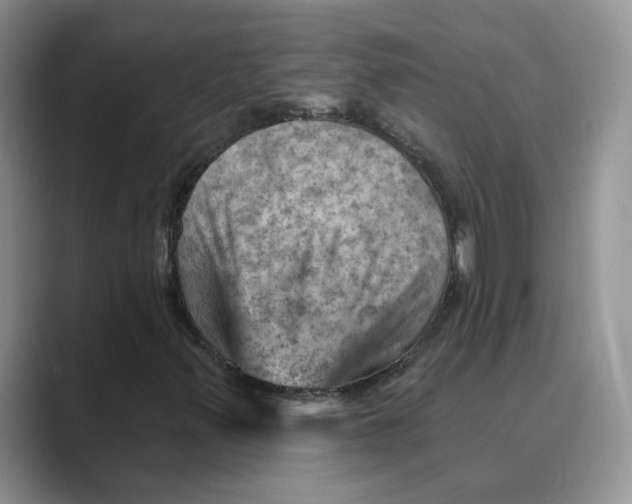 X0000088861347200707061043