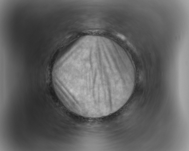 X0000088861350200707061043