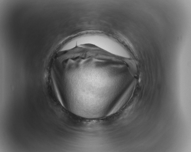 X0000088861352200707061043