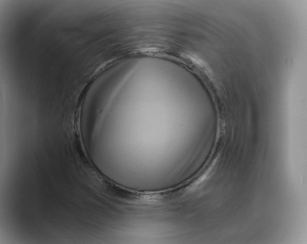 X0000088861353200707061043