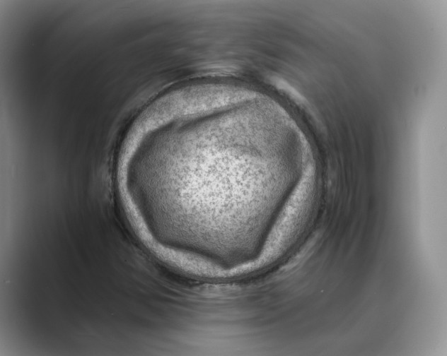 X0000088861354200707061043