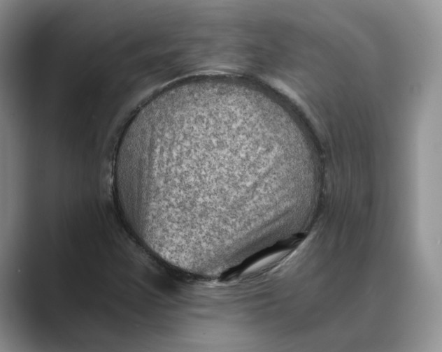 X0000088861355200707061043