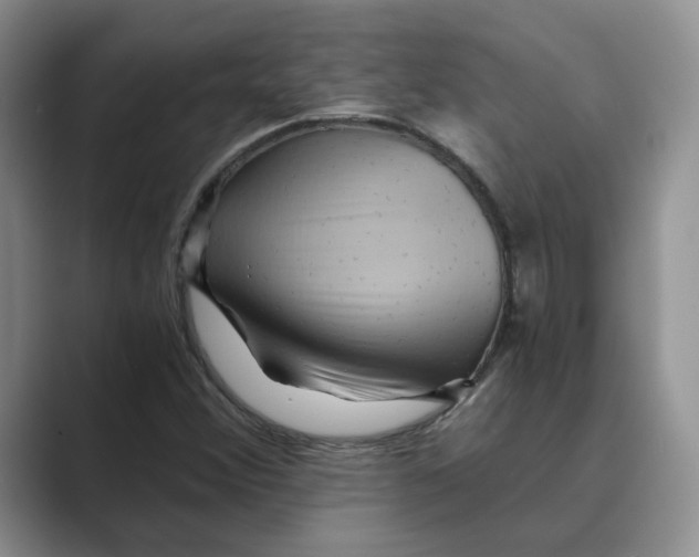 X0000088861356200707061043