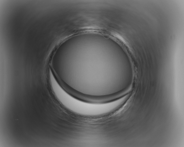 X0000088861357200707061043