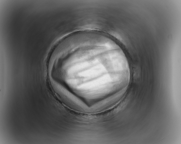 X0000088861358200707061043