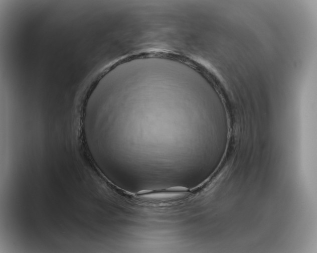 X0000088861359200707061043