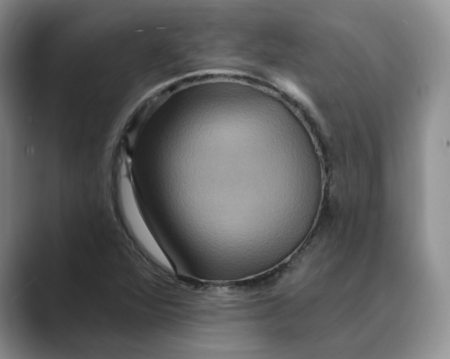 X0000088861360200707061043