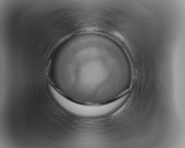 X0000088861361200707061043