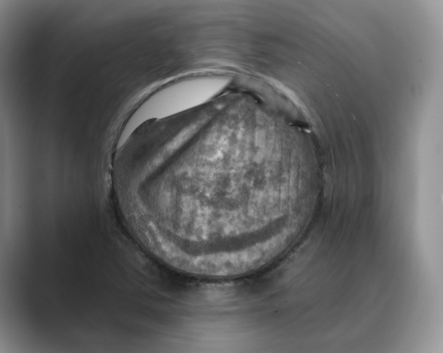 X0000088861363200707061043