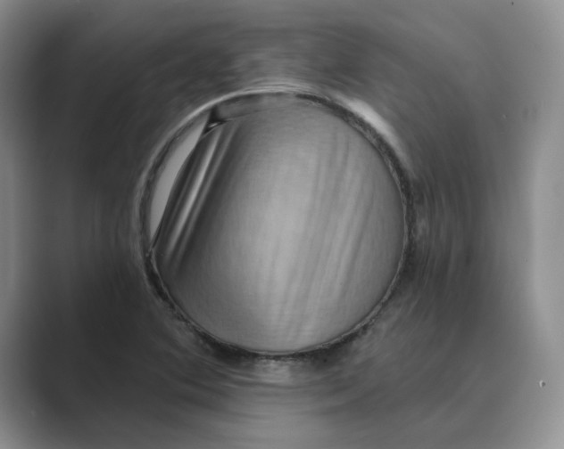 X0000088861364200707061043