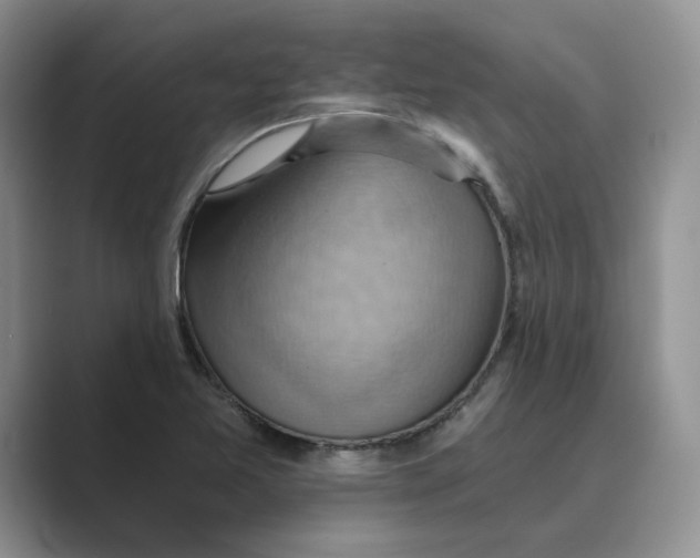 X0000088861365200707061043