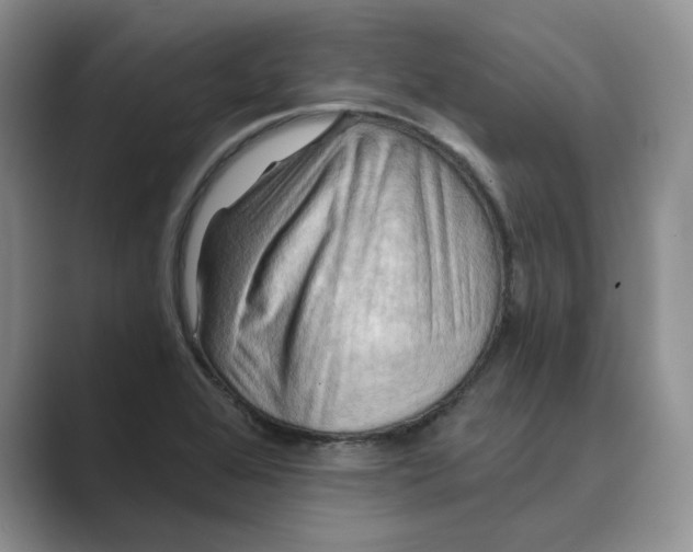 X0000088861368200707061043