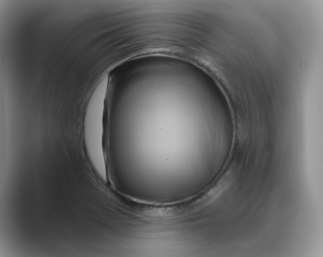 X0000088861369200707061043