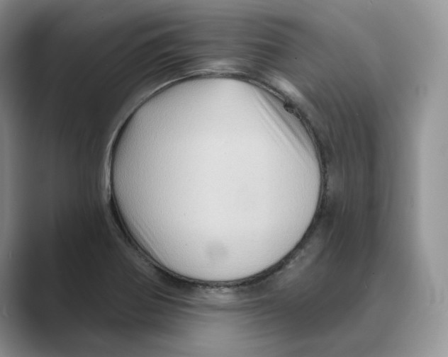 X0000088861370200707061043