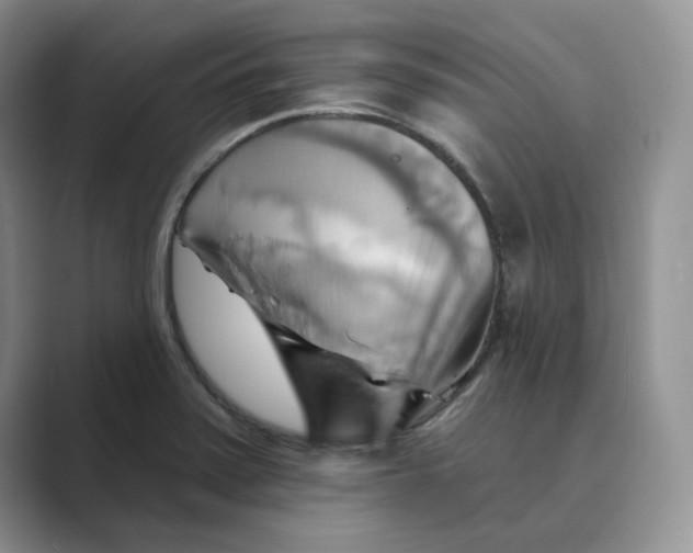 X0000088861371200707061043