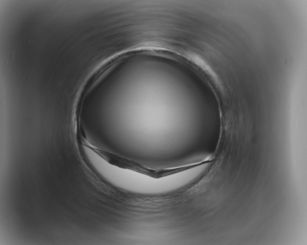 X0000088861372200707061043