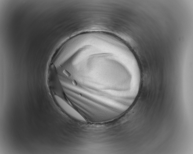 X0000088861374200707061043