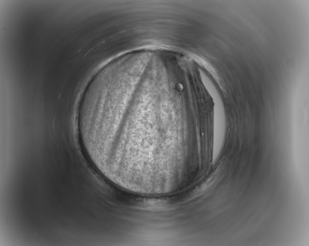 X0000088861375200707061043