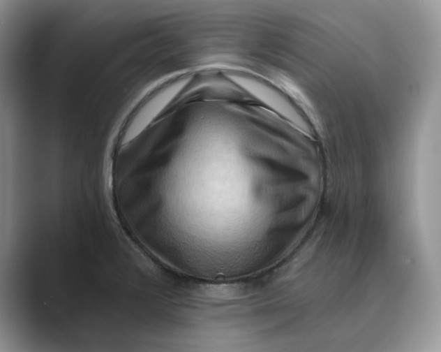 X0000088861376200707061043