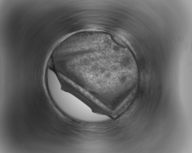 X0000088861379200707061043