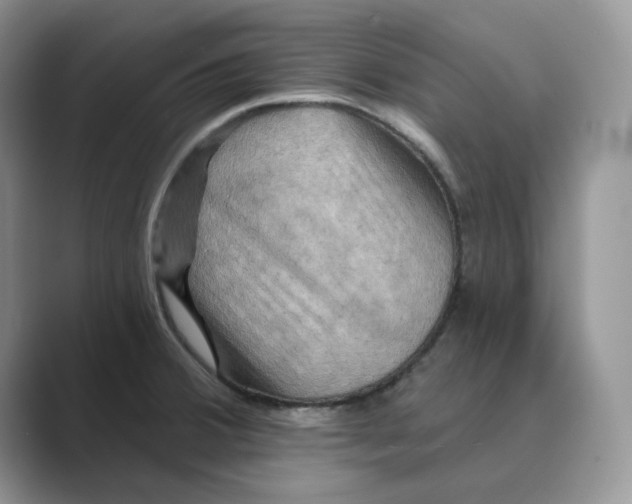 X0000088861380200707061043