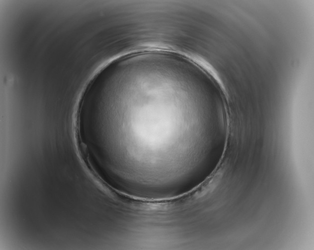 X0000088861381200707061043