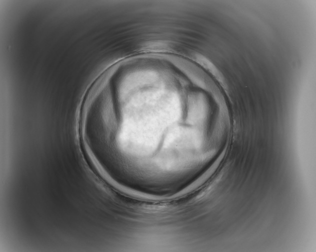 X0000088861386200707061043