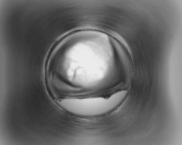 X0000088861388200707061043