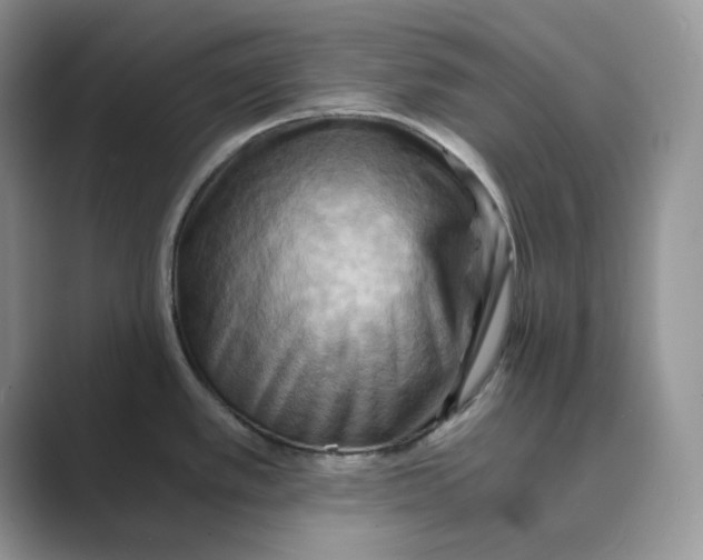 X0000088861389200707061043