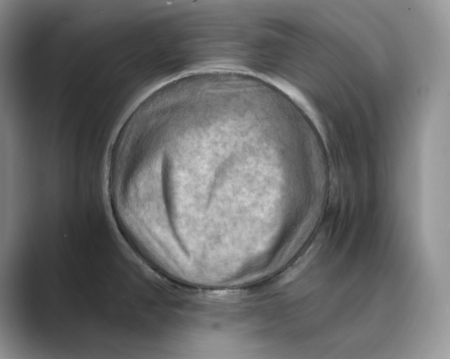 X0000088861390200707061043