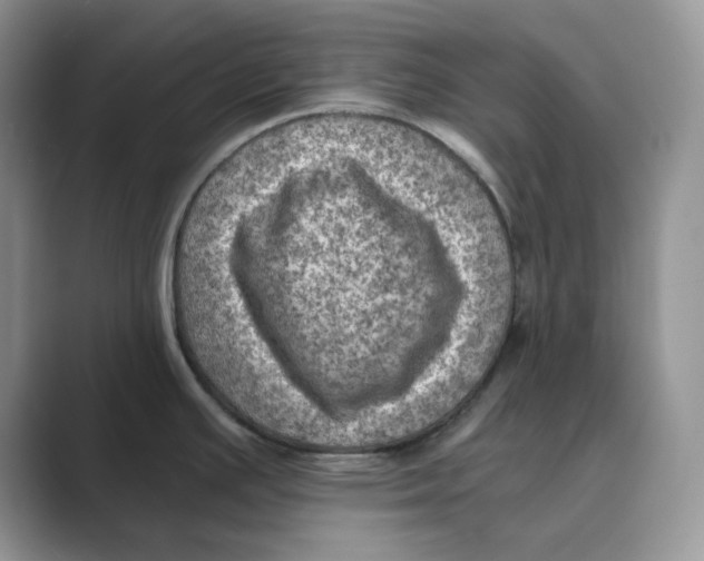 X0000088861391200707061043