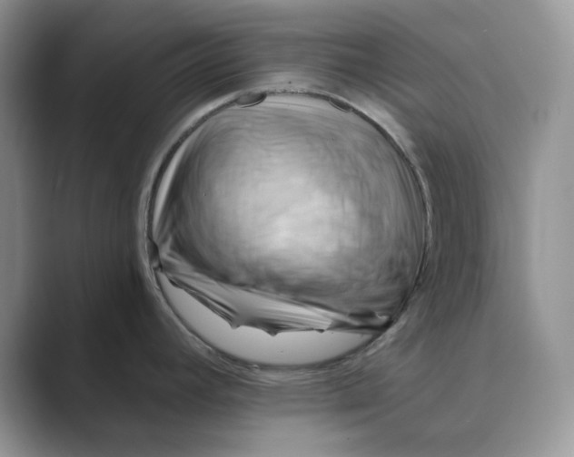 X0000088861392200707061043