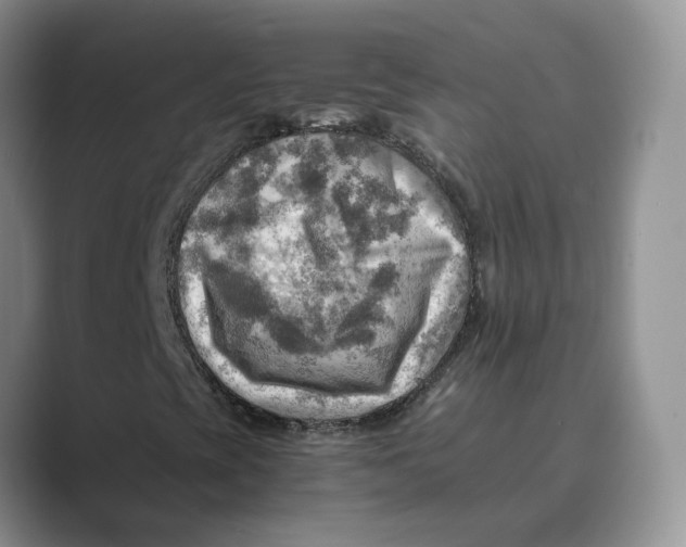 X0000088861393200707061042