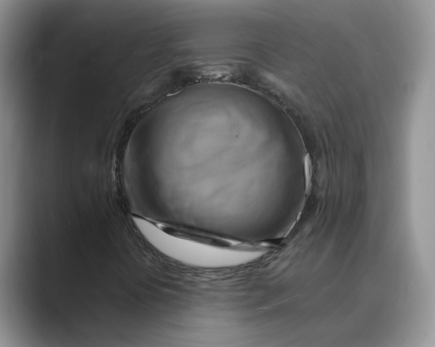 X0000088861394200707061042