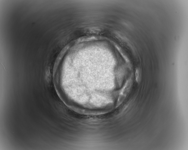 X0000088861395200707061042