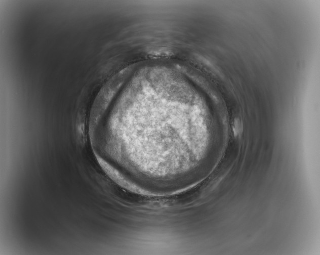 X0000088861396200707061042