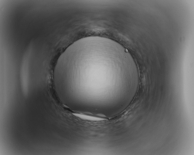 X0000088861397200707061042