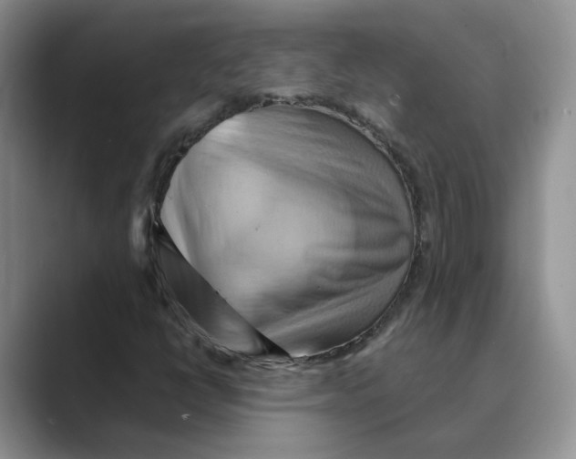 X0000088861398200707061042