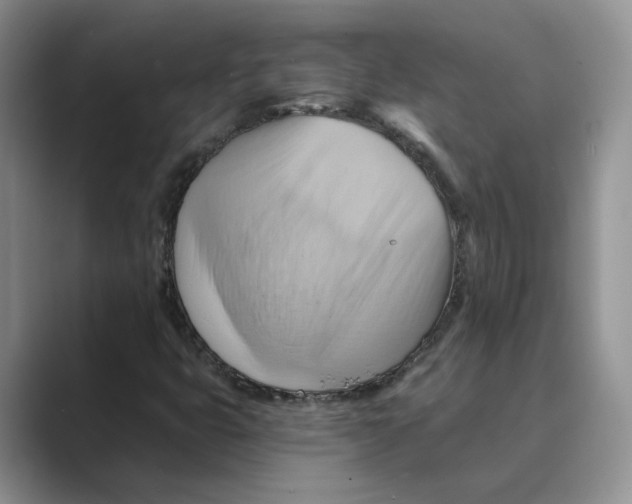 X0000088861399200707061042