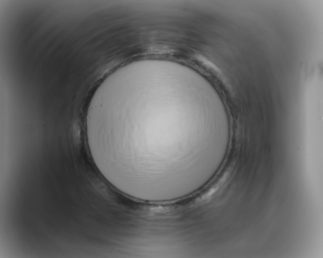 X0000088861401200707061042