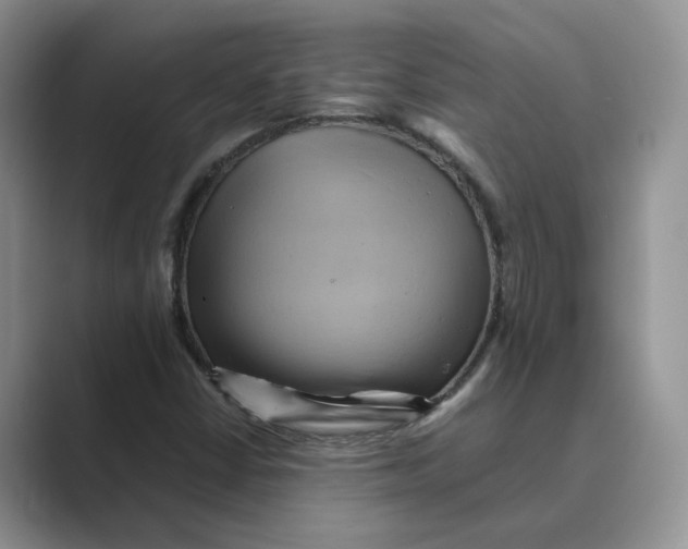 X0000088861402200707061042