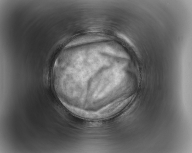 X0000088861403200707061042