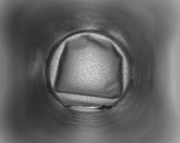 X0000088861404200707061042