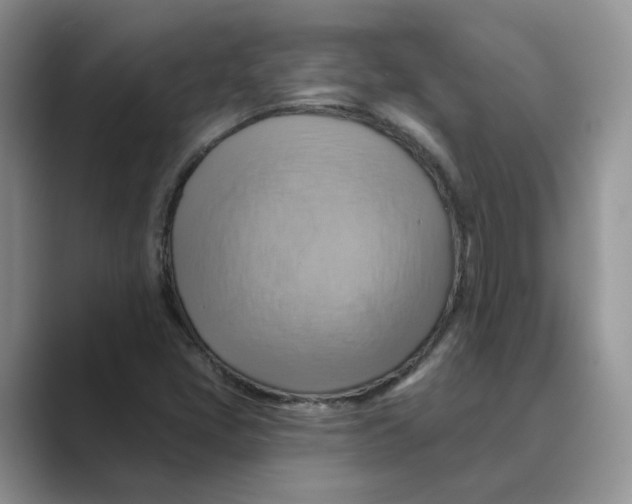 X0000088861405200707061042