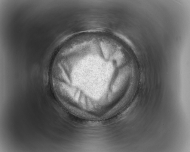 X0000088861407200707061042