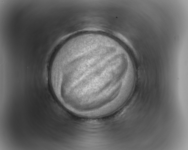 X0000088861408200707061042